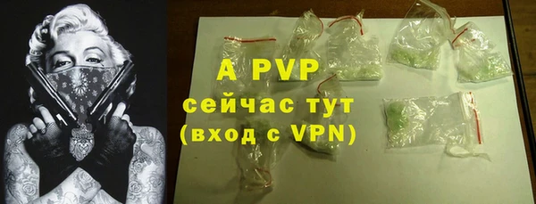 МДПВ Новозыбков