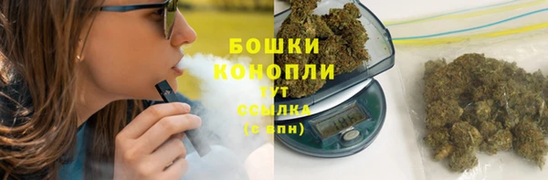 альфа пвп Новодвинск