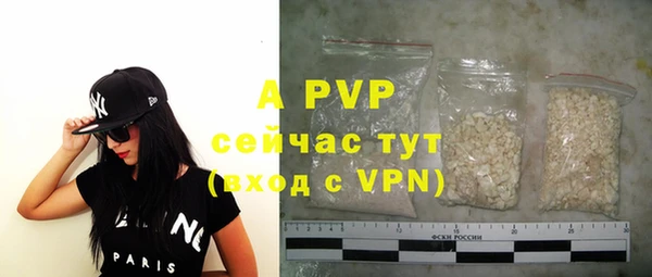 альфа пвп Новодвинск