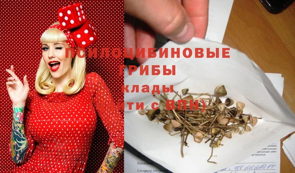 МДПВ Новозыбков