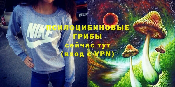 МДПВ Новозыбков