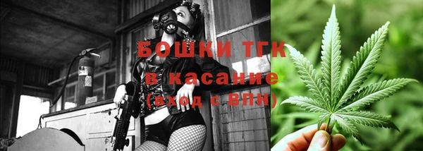 МДПВ Новозыбков