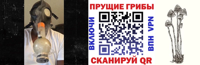 Псилоцибиновые грибы Magic Shrooms  Углегорск 